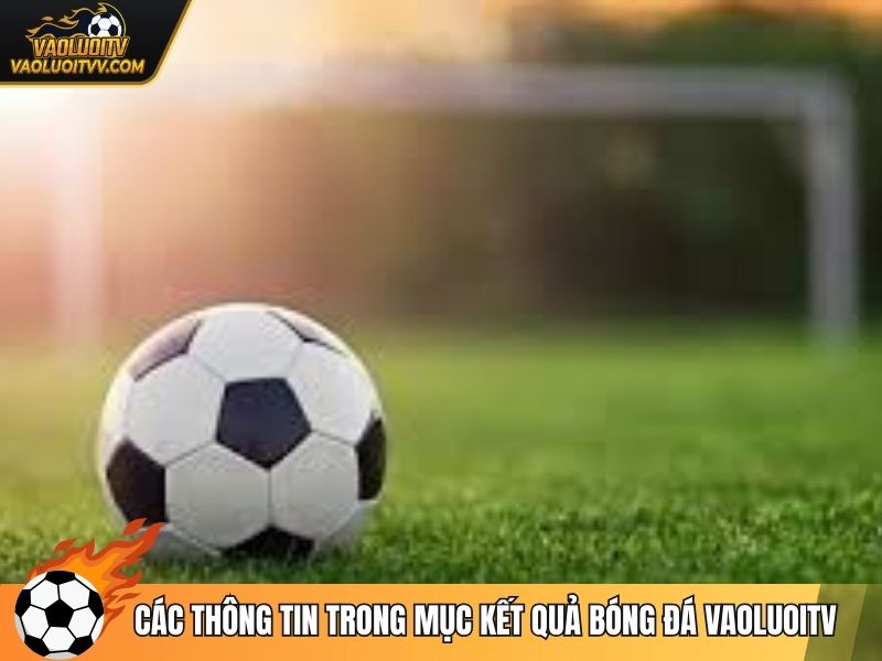 Các thông tin trong mục kết quả bóng đá Vaoluoitv