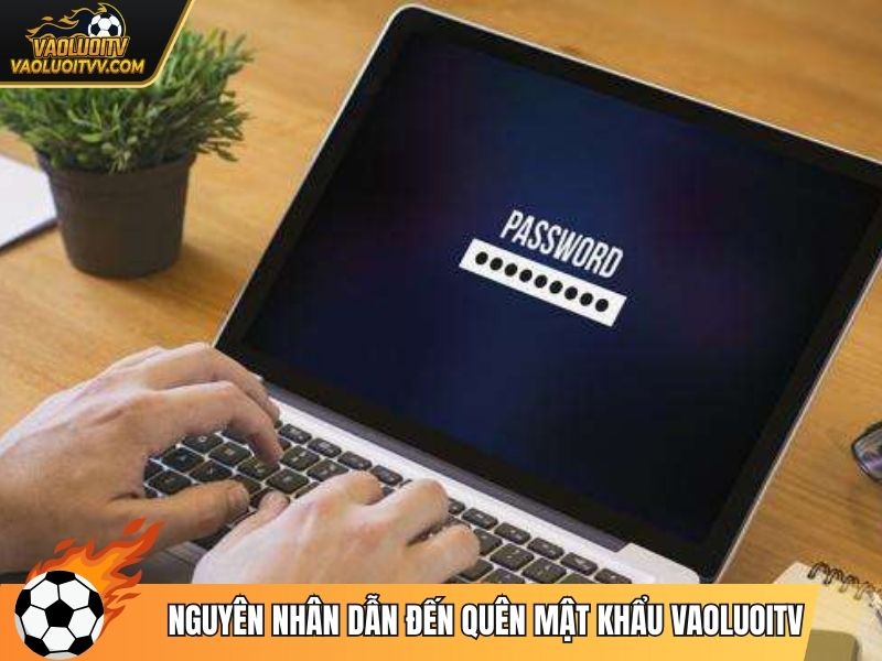 Nguyên nhân dẫn đến quên mật khẩu Vaoluoitv
