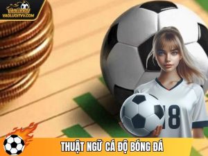 Thuật Ngữ Cá Độ Bóng Đá - Tổng Hợp Từ Cơ Bản Nên Biết