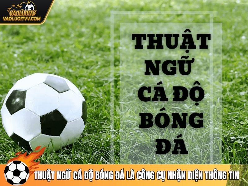 Thuật ngữ cá độ bóng đá là công cụ nhận diện thông tin