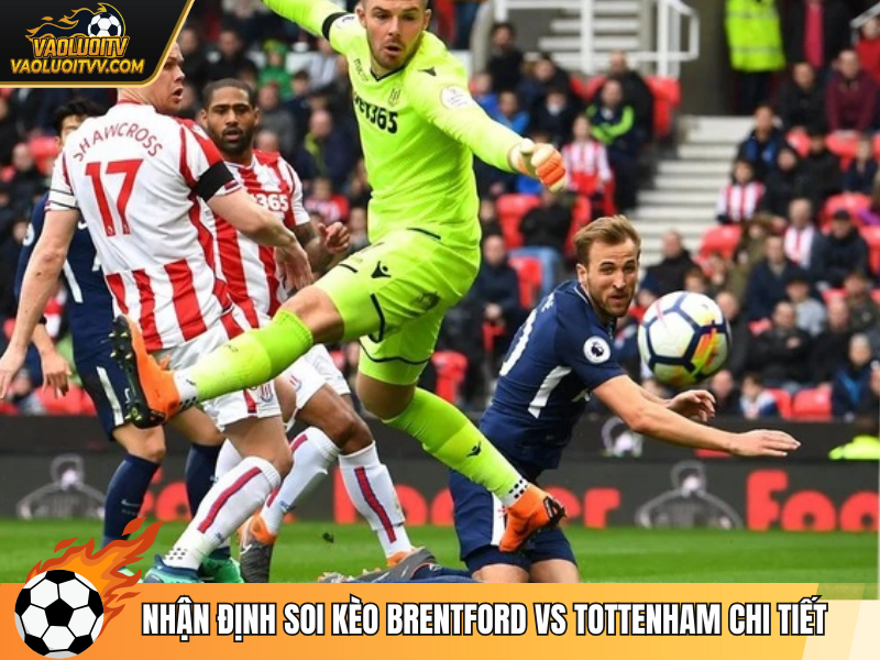 Nhận định soi kèo Brentford vs Tottenham chi tiết