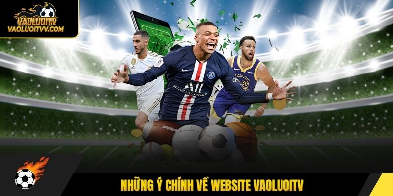 Những ý chính về website Vaoluoitv